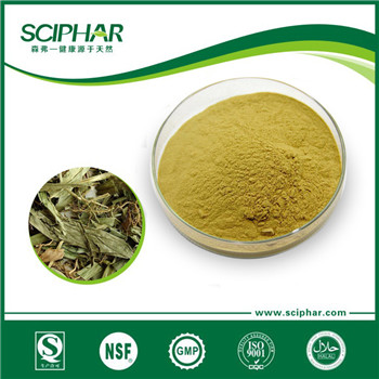 <b>Bamboo Leaf Extract Powder</b>