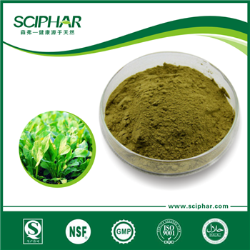 Spinach powder 