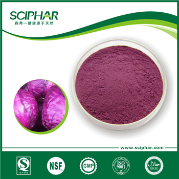 Purple cabbage powder 