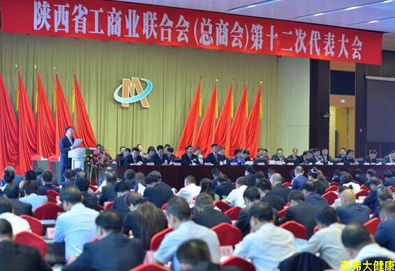 Le président du Groupe sciphar, Jin Xinkang, a été élu vice-président de la Chambre de commerce de la province du Shaanxi!