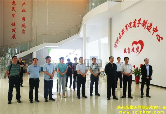 南京市栖霞区党政代表团考察森弗数字化菊芋制造中心