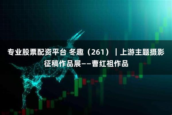 专业股票配资平台 冬趣（261）｜上游主题摄影征稿作品展——曹红祖作品